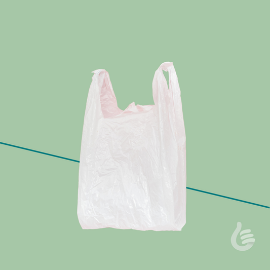 Small-Sized Nylon/Plastic Bag - Bulk Laundry